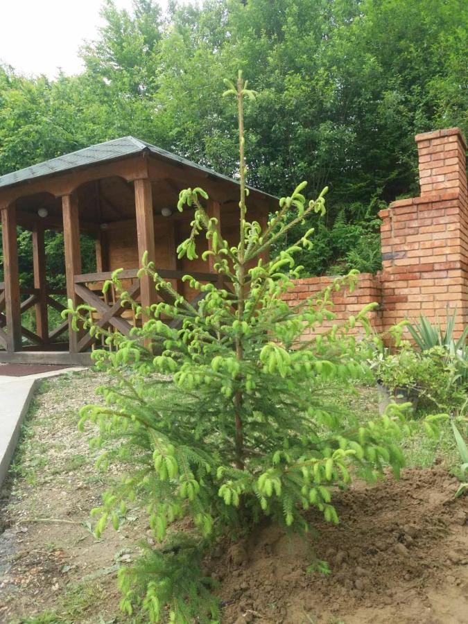Villa Na Uzlissi Myhove Buitenkant foto