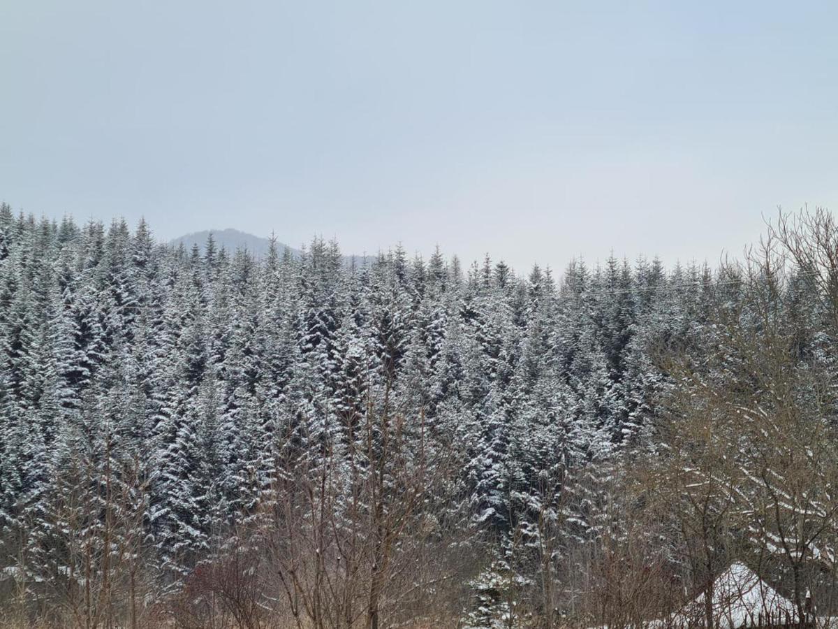 Villa Na Uzlissi Myhove Buitenkant foto