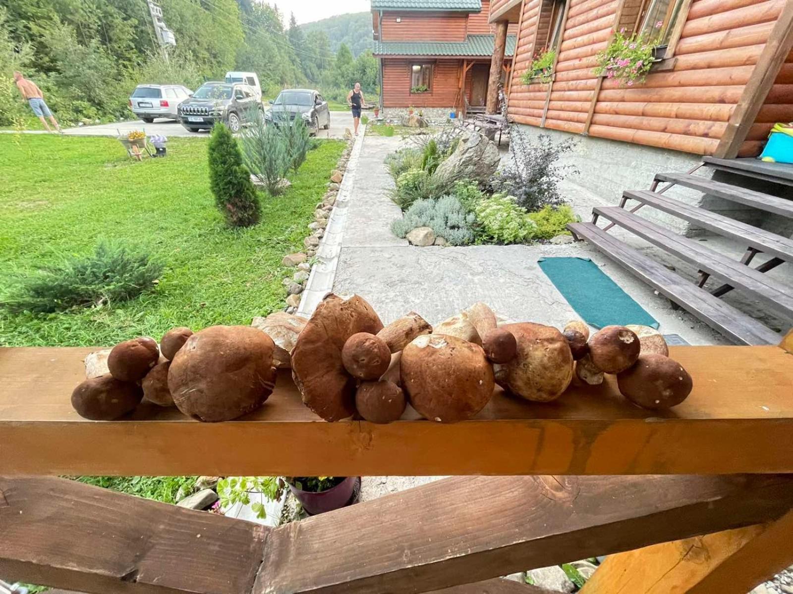 Villa Na Uzlissi Myhove Buitenkant foto