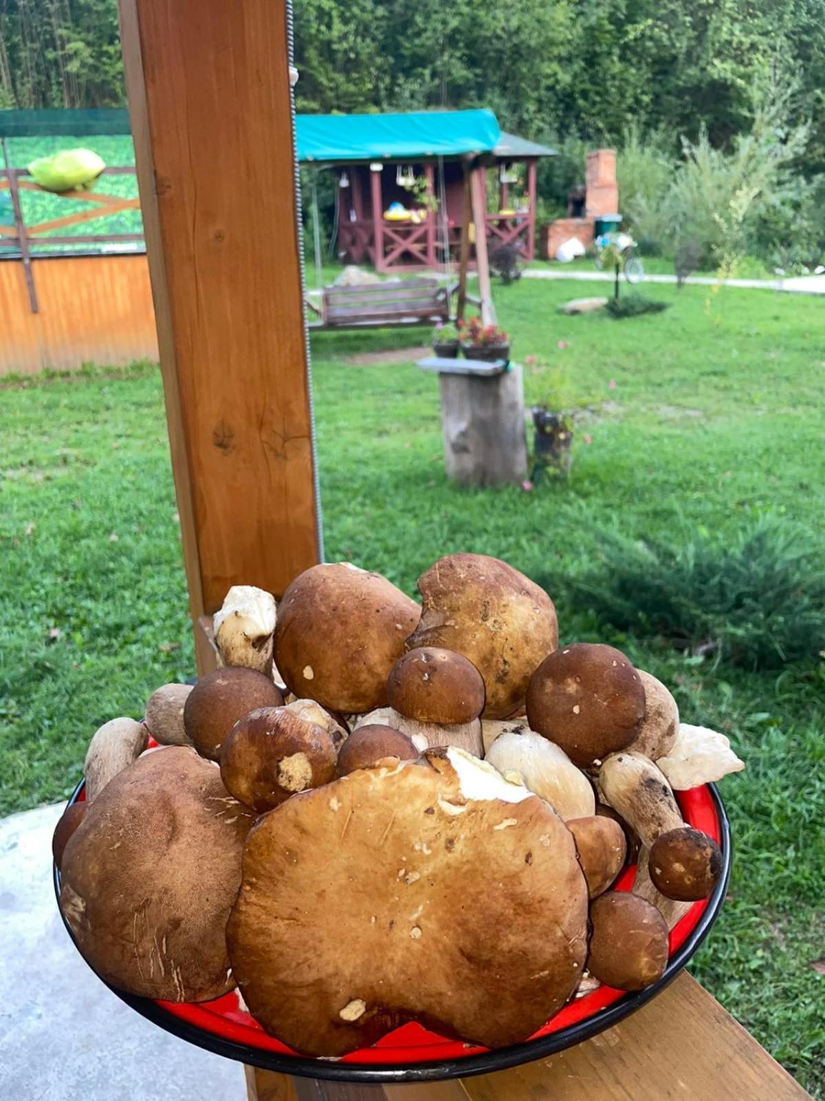 Villa Na Uzlissi Myhove Buitenkant foto